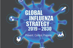 Overview of the Global Influenza Strategy 2019-2030