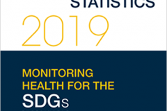 World Health Statistics 2019 Full version